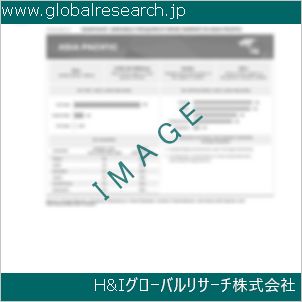 グローバルリサーチ調査資料のイメージ
